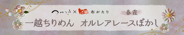 一越ちりめんオルレアレースぼかし