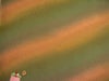 ちりめんグラデーション（初秋）：カットクロス