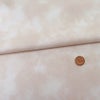 コットン生地 グラデーション ムラ染めぼかし(ライトベージュ)