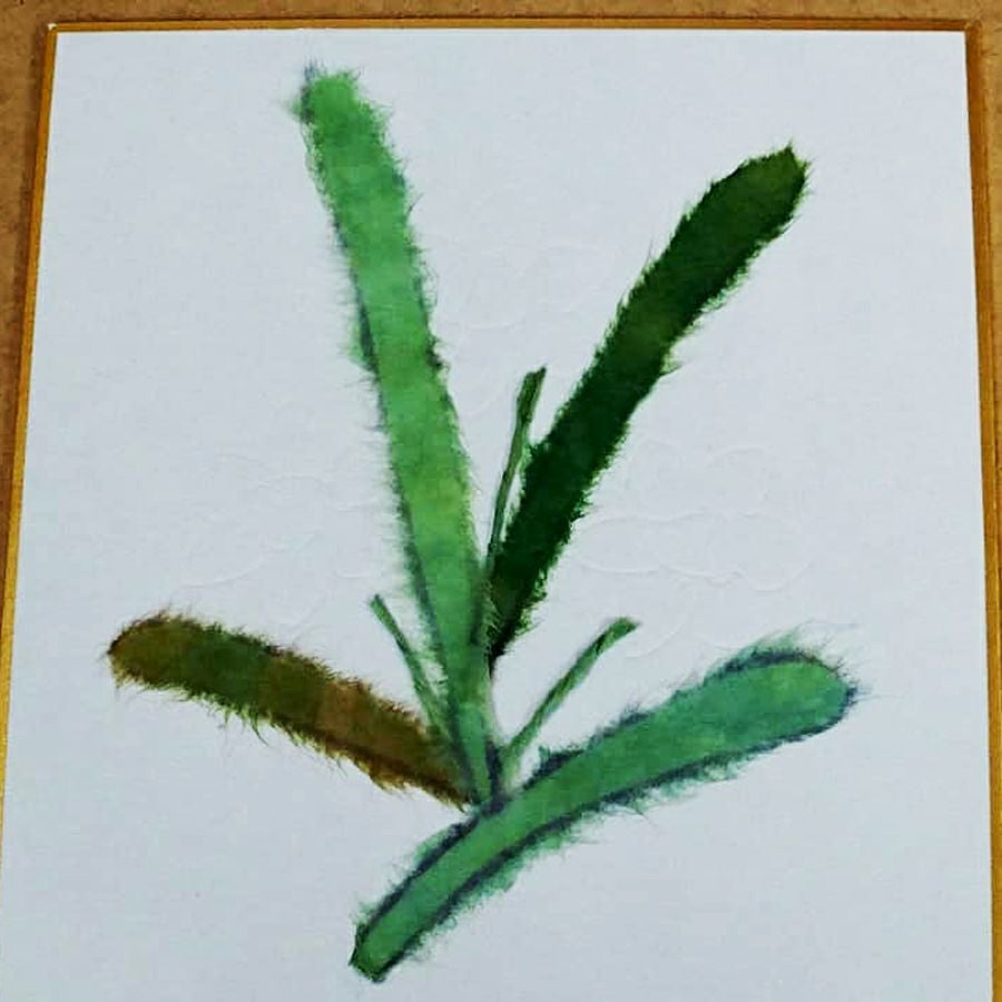 和紙ちぎり絵キット・ミニ壁掛け「水仙」 |生地 和柄/和布/ちりめん