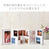手づくり御朱印帳/御集印帳用 透かしフレーム 蝶々 ご朱印帳表紙用すかしフレーム ちょうちょと桜 チョウチョ柄