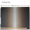 コットン生地 グラデーションに繊細な流線(コゲチャ/カフェオレ) 10cm単位 切り売り スケアグラデーションプリント Handworks Fabric Junko Matsuda