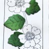 ちりめん手芸キット もてなしの花 8月 ムクゲ(むくげ) 縮緬押絵 押し絵クラフト ちりめん細工 布絵ミニタペストリー