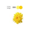 刺し子キット 花ふきん「和-Nagomi」青海波