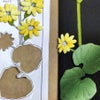 ちりめん手芸キット もてなしの花 11月 ツワブキ(石蕗) ちりめん押絵キット 布絵クラフト 押し絵材料 花のタペストリー