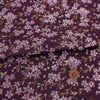金襴生地(金らん) 桜花の舞(深紫) 10cm単位 切り売り