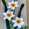 ちりめん手芸キット もてなしの花 1月 スイセン(水仙)