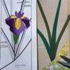 ちりめん手芸キット もてなしの花 5月 アヤメ(菖蒲)