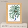 クロスステッチキット 12ヶ月の盆栽・7月 しのぶ フレーム付