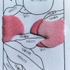 ちりめん手芸キット 花と実の短冊 8月 桃の実