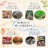 ちりめん押絵キット 四季のお地蔵さん 夏地蔵・竹林の小路